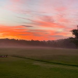 Meet your Posher, Jodi
